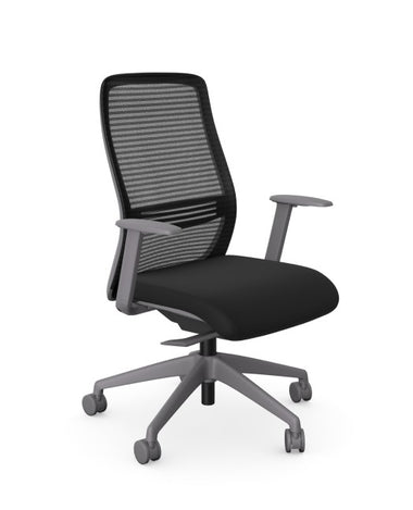 EV Grey Ergonomic Task Chair