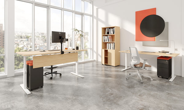Rise Sit-Stand Desk